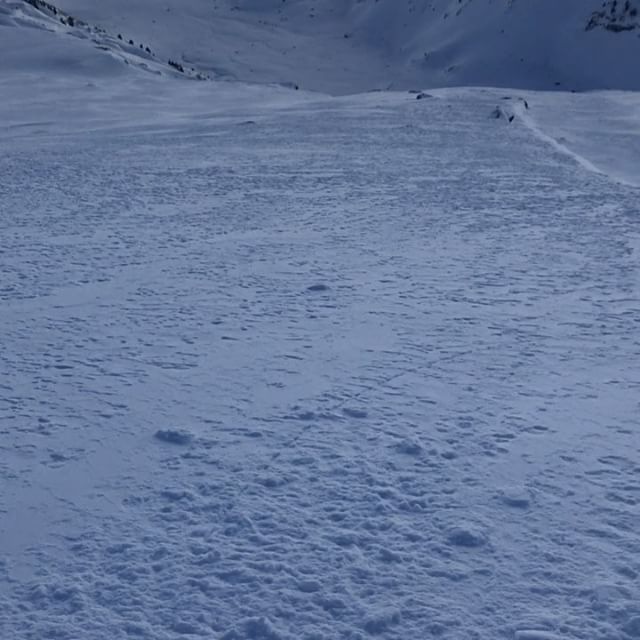 Med stighudar och lite vilja så blir det ofta riktigt bra!#skitouring #topptur #engelberg #bergsresor #elevenate #g3 #dynafit