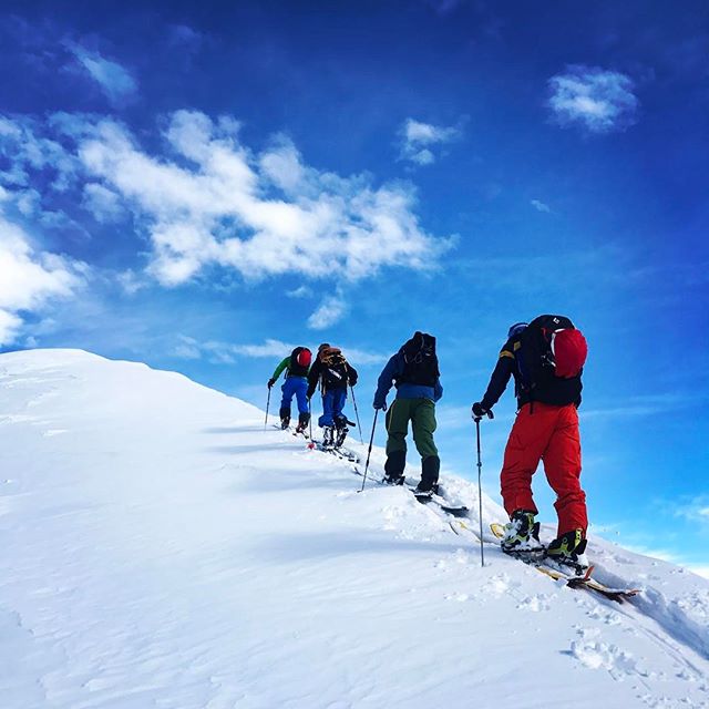 Vi kör vidare med sol, stighudar och puder! #skitouring #piedmont #bergsresor #elevenate #g3skis #dynafit