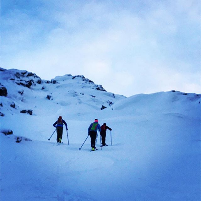 Narvik Tannepirker Maffia fick fortsätta mot toppen när jag vända neråt med ett stelt knä som hänger i sedan förra veckans pannbens test! #skitour #topptur #narvik #elevenate #dynafitsweden #bergsresor