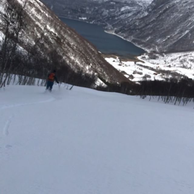 Blåsigt på fjället men kanon fint i skogen och fin utsikt från boendet i Narvik den här veckan!#skitouring #narvik #bergsresor #elevenate #g3skis #dynafitsweden #canon