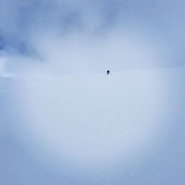 Nysnö med fina förhållanden fick vi på Melkefjellet idag!#melkefjellet #narvik #bergsresor #elevenate #genuineguidegear #dynafit